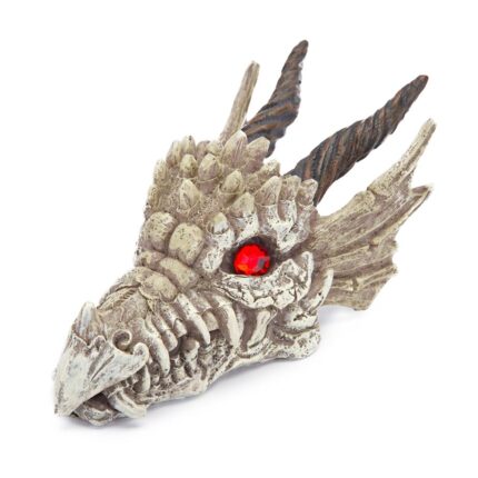 Dragon Skull Gazer 5.5"