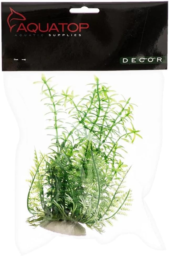 61czNUV07CL._AC_SX679_