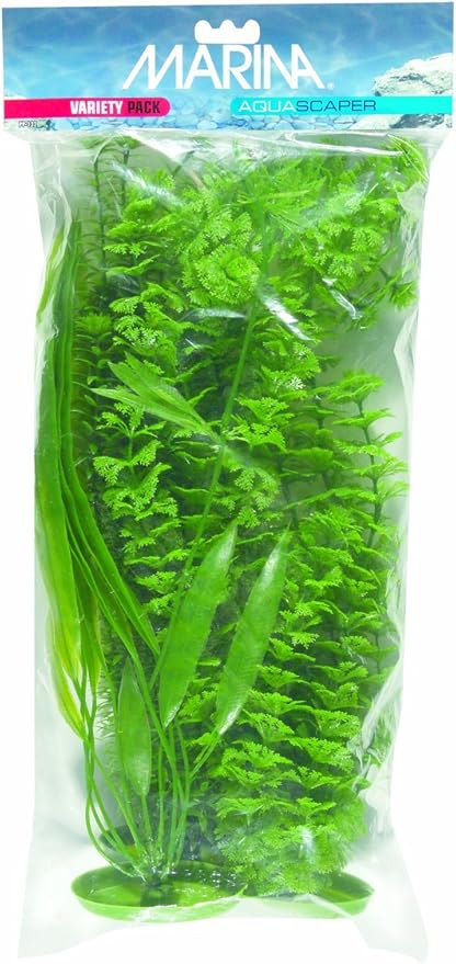 Marina Variety Pack Plants