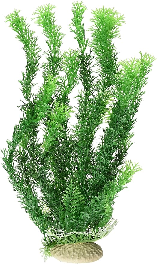 91kU93EkiBL._AC_SY879_