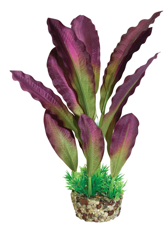 AF_Silk_Plant_purple_8in_700x