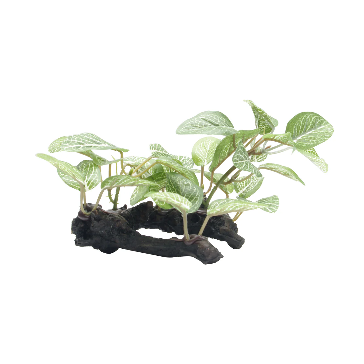 Fluval-PP1619-SmAfricanShadeLeaf-10cm-3in-P-International