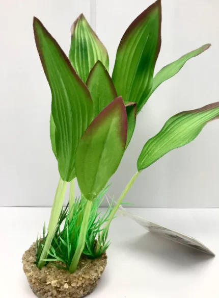 Green Silk Plant With Gravel Base 8"