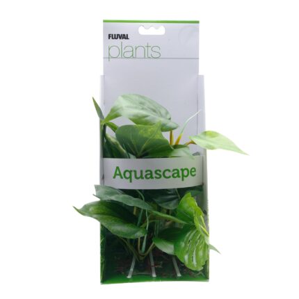 Fluval Decorative Plants, Anubias, 20 cm (8in) with base