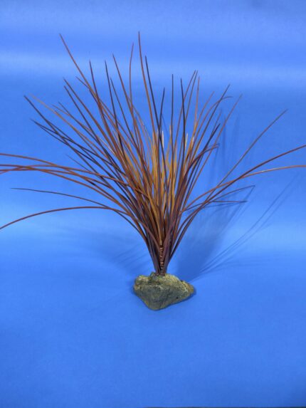 Red Marsh Grass 17"