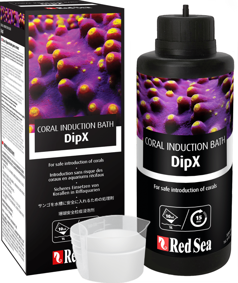 dipx-box-bottle-2