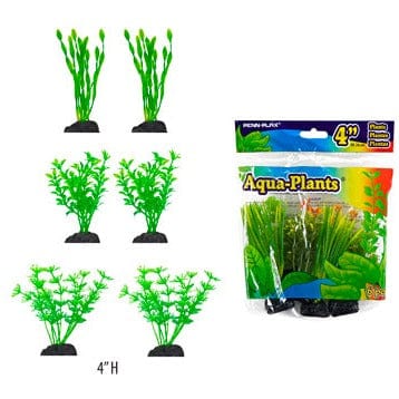 PPX Betta Plants 6pk Green