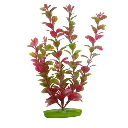 Marina AquaScaper Red Ludwigia 12"