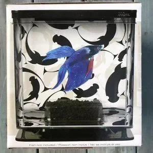 Marina Betta Kit Ying Yang Theme